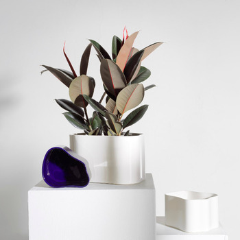 Artek_Aalto_Riihitie_Plant_Pot_White_Gloss_1a.JPG