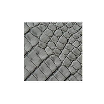 LindDNA_Glass_Mat_Curve_Croco_Silver_9885_Bohero_.png