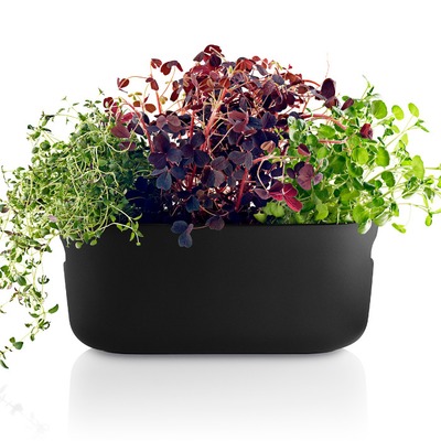 Eva-Solo-Selfwatering-herb-organiser-black.jpg