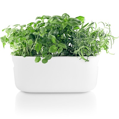 Eva-Solo-Selfwatering-herb-organiser-white.jpg