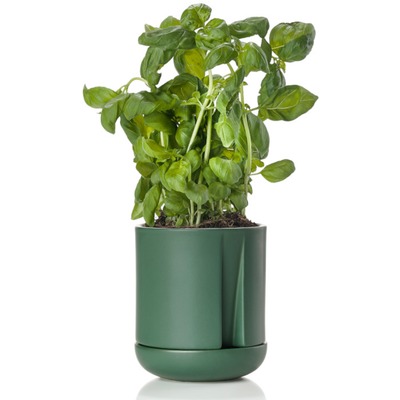 ZONE-DENMARK-HERB-POT-332153.jpg