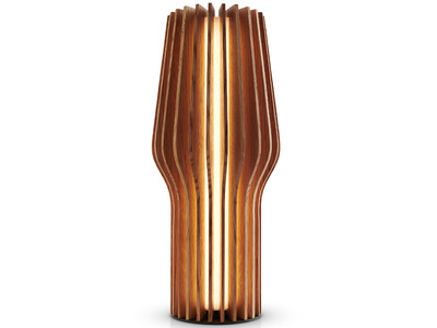 EVA-SOLO-RADIANT-OAK-LED-battery-lamp-571381.jpg