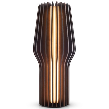 EVA-SOLO-RADIANT-OAK-Smoked-LED-battery-lamp-571382.jpg