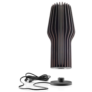 EVA-SOLO-RADIANT-OAK-Smoked-LED-battery-lamp-571382-.jpg