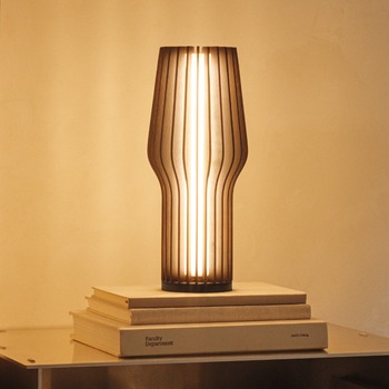 EVA-SOLO-RADIANT-OAK-Smoked-LED-battery-lamp-571382-Bohero.jpg