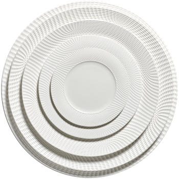 Ann_VAN_Hoey_NIDO_Plate_SERAX.png