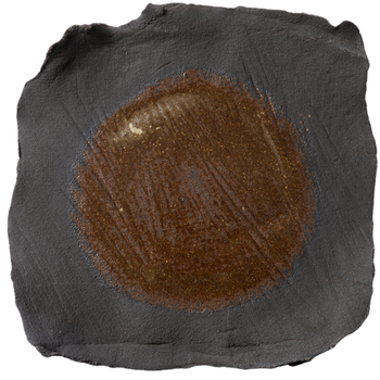 UNIK_ROOS_VAN_DE_VELDE_ODETOTHEEARTH_T1024026_DINNER_PLATE_DESERT_BLACK.png