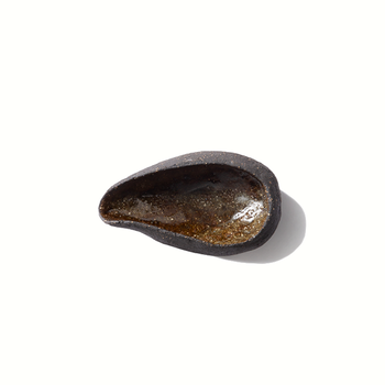 UNIK_ROOS_VAN_DE_VELDE_ODETOTHEEARTH_T1024023_SAUCE_CUP_NECTAR_BLACK_RB.png