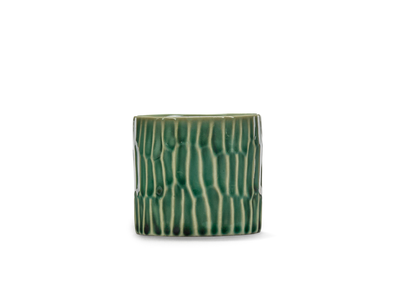 Pascale_Naessens_SCHAAL_groen_Verde_Lanza.png