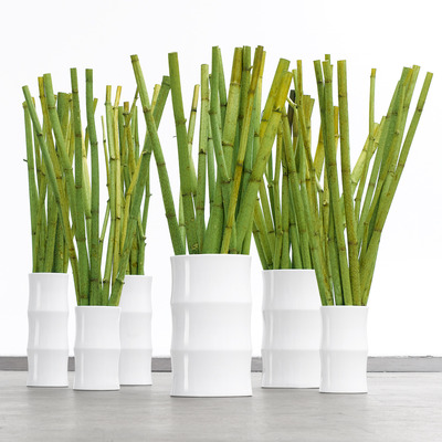 ASA_LIVING_BAMBOO_vase91233-91221-91224_lifestyle.jpg