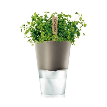 EvaSolo_Herb_Pot_568204d.jpg