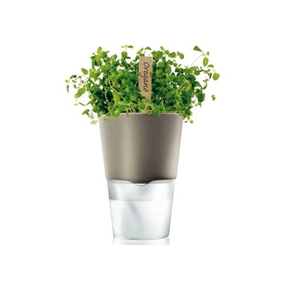 EvaSolo_Herb_Pot_568204d.jpg