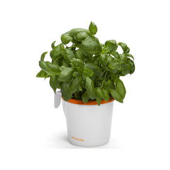 Fiskars_Herb_Pot_Large_1003654.png