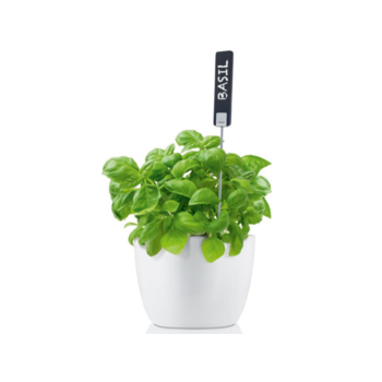 Blomus_Planta_plant_sign_4_a.png