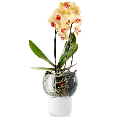 Eva_Solo_Selfwatering_orchidpot_15cm_568149.jpg