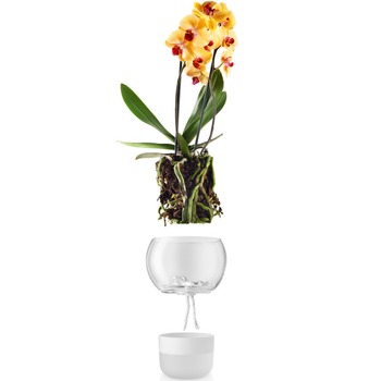 Eva_Solo_Selfwatering_orchidpot_15cm_568149_Bohero_.jpg