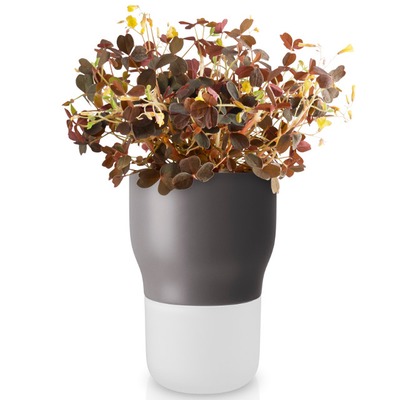 Eva_Solo_Selfwatering_pot_9cm_Nordic_grey_568152.jpg