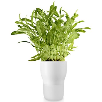 Eva_Solo_Selfwatering_pot_11cm_Chalk_white_568146.jpg