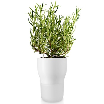 Eva_Solo_Selfwatering_pot_11cm_Chalk_white_568146_.jpg