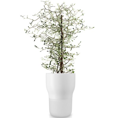 Eva_Solo_Selfwatering_pot_13cm_Chalk_white_568147.jpg