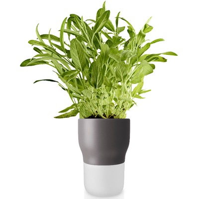 Eva_Solo_Selfwatering_pot_11cm_Nordic_grey_568153.jpg