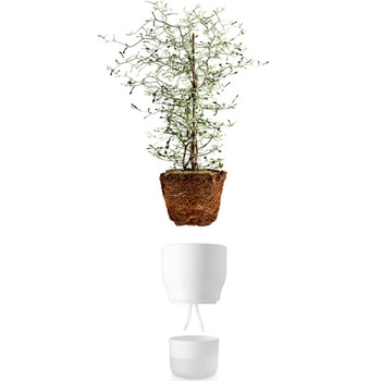 Eva_Solo_Selfwatering_pot_13cm_Chalk_white_568147_.jpg